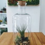 kimuagasteiz_106130673_316863265993463_6309599274409466682_n